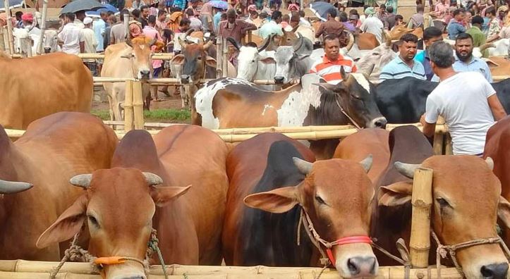 কত টাকা থাকলে কোরবানি ওয়াজিব